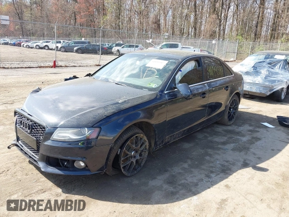 2010 Audi A4 2.0T Premium Plus with VIN WAUHFAFL2AN051767, listed as a IAAI auction lot 41899587 with 112,011 mi miles. Bid and sale history available at carsss.com. Image 2.