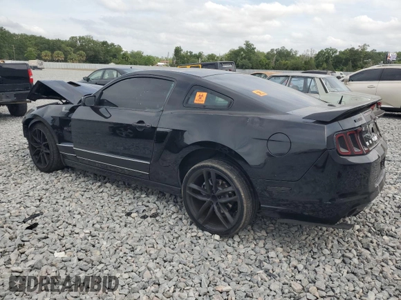 2013 Ford Mustang GT with VIN 1ZVBP8CF6D5231252, listed as a Copart auction lot 54175535 with 159,375 mi miles and Salvage title. Bid and sale history available at DreamBid. Image 2.
