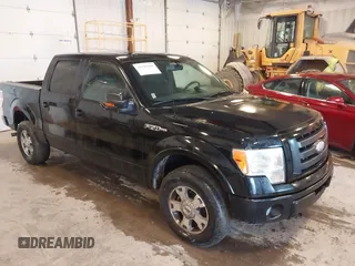 2009 Ford F-150 XL z VIN 1FTPW14V79FA07904, wystawiony jako IAAI lot #42198048 z przebiegiem 279 253 mil mil oraz . Historia ofert i sprzedaży dostępna na DreamBid. Obrazek 1.