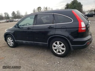 2009 Honda CR-V EX-L with VIN 5J6RE48729L012349, listed as a Copart auction lot 51188955 with 119,430 mi miles and Clean Title. Bid and sale history available at carsss.com. Image 2.