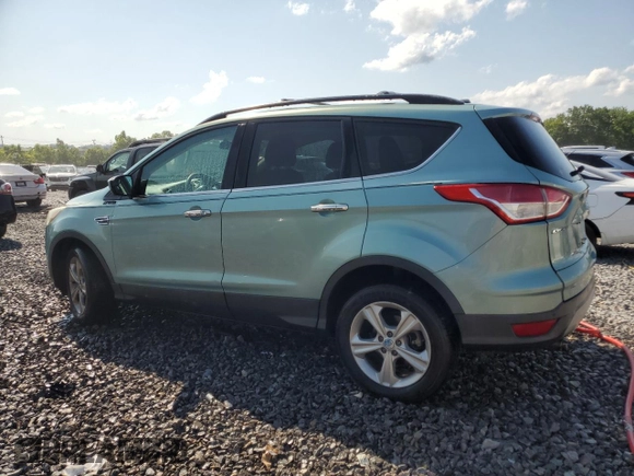 2013 Ford Escape SE with VIN 1FMCU0G99DUD03147, listed as a Copart auction lot 60152775 with 156,551 mi miles and Salvage title. Bid and sale history available at DreamBid. Image 2.
