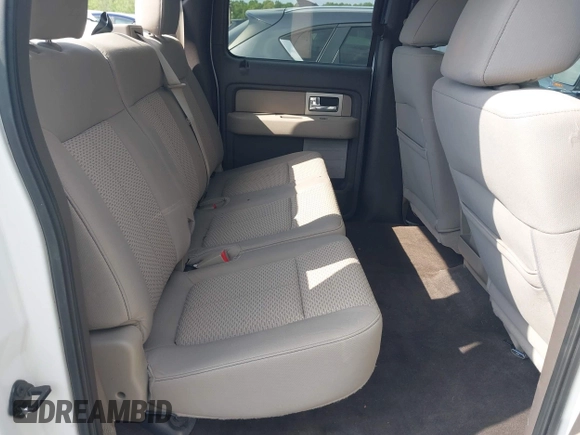 2010 Ford F-150 XL with VIN 1FTEW1C80AKE13666, listed as a IAAI auction lot 42002179 with 121,288 mi miles. Bid and sale history available at carsss.com. Image 8.