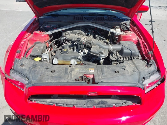 2014 Ford Mustang V6 with VIN 1ZVBP8EM7E5316940, listed as a IAAI auction lot 42555358 with Not provided miles and . Bid and sale history available at DreamBid. Image 10.
