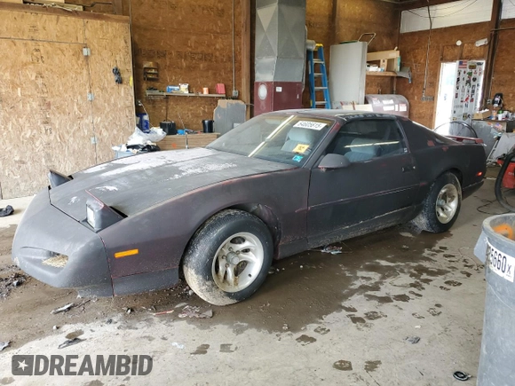 1991 Pontiac Firebird with VIN 1G2FS23E4ML233315, listed as a Copart auction lot 64605615 with Not provided miles and Clean title. Bid and sale history available at DreamBid. Image 1.