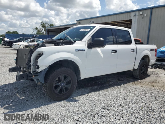 2016 Ford F-150 XLT with VIN 1FTEW1EFXGKE48610, listed as a Copart auction lot 59703975 with 174,044 mi miles and Salvage title. Bid and sale history available at DreamBid. Image 1.
