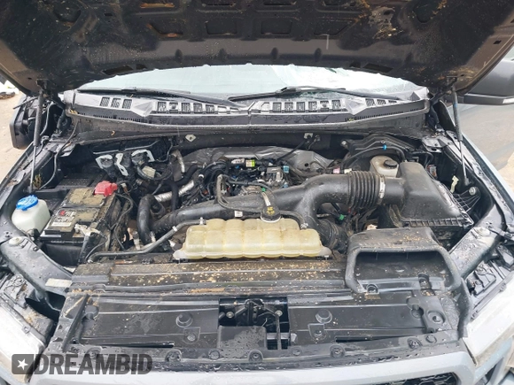 2019 Ford F-150 XL with VIN 1FTEW1EPXKKD78298, listed as a IAAI auction lot 41158508 with 76,676 mi miles and . Bid and sale history available at DreamBid. Image 10.