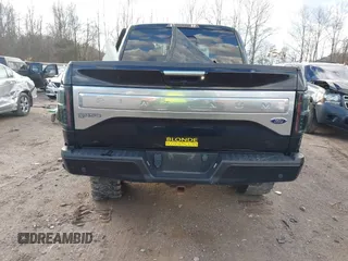 2016 Ford F-150 XLT with VIN 1FTEW1EG4GFA00476, listed as a IAAI auction lot 41218630 with Not provided miles and . Bid and sale history available at DreamBid. Image 15.