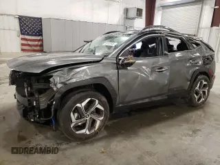 2022 Hyundai Tucson Limited with VIN 5NMJECAE1NH020573, listed as a Copart auction lot 53182945 with 108,289 mi miles and Salvage Title. Bid and sale history available at carsss.com. Image 1.