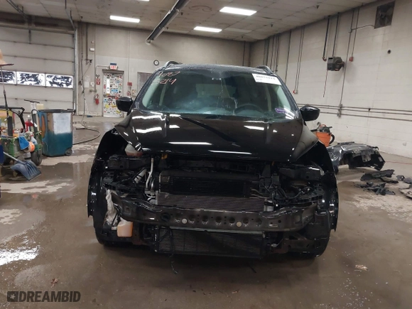 2017 Ford Escape SE with VIN 1FMCU9GDXHUA07522, listed as a IAAI auction lot 40875214 with 114,175 mi miles. Bid and sale history available at carsss.com. Image 13.