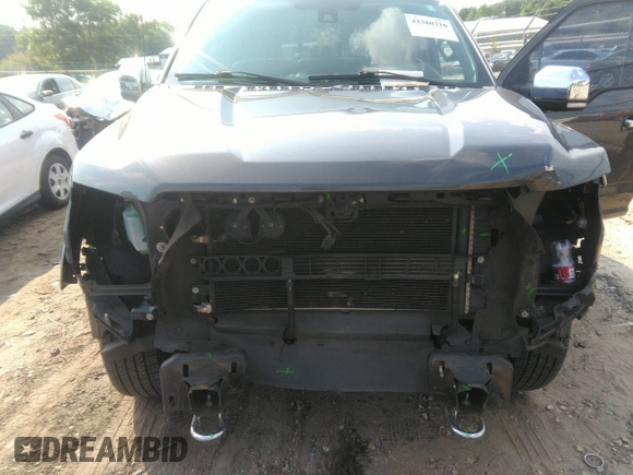 2016 Ford F-150 XLT with VIN 1FTEW1EF3GFB49968, listed as a IAAI auction lot 42380710 with 138,953 mi miles and . Bid and sale history available at DreamBid. Image 6.