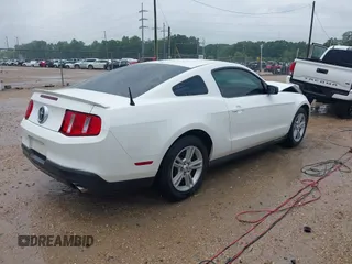 2012 Ford Mustang Premium with VIN 1ZVBP8AM3C5280537, listed as a IAAI auction lot 42171843 with 124,502 mi miles and . Bid and sale history available at carsss.com. Image 4.