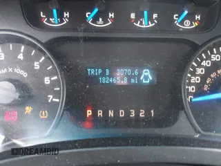 2013 Ford F-150 XL with VIN 1FTEX1CM7DFA43064, listed as a IAAI auction lot 41536493 with 182,465 mi miles. Bid and sale history available at carsss.com. Image 7.