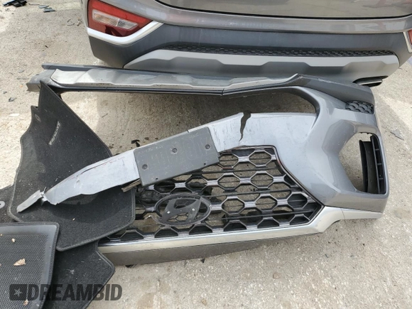 2019 Hyundai Santa Fe SE with VIN 5NMS2CAD9KH131243, listed as a Copart auction lot 49673665 with 58,079 mi miles and Salvage Title. Bid and sale history available at DreamBid. Image 13.