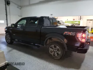 2013 Ford F-150 XL with VIN 1FTFW1ET8DKE41631, listed as a Copart auction lot 41372035 with 152,236 mi miles and Clean Title. Bid and sale history available at DreamBid. Image 2.