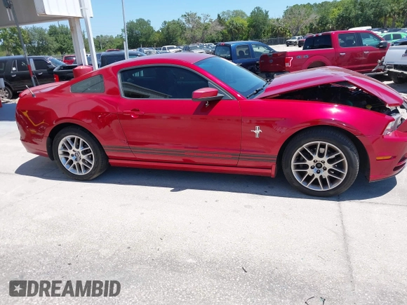 2013 Ford Mustang V6 with VIN 1ZVBP8AM0D5200449, listed as a IAAI auction lot 42046536 with Not Provided miles. Bid and sale history available at carsss.com. Image 14.