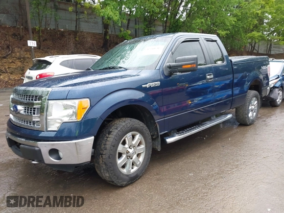 2013 Ford F-150 XL with VIN 1FTFX1EFXDFB89719, listed as a IAAI auction lot 42310707 with 142,977 mi miles and . Bid and sale history available at DreamBid. Image 18.