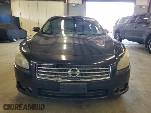 2010 Nissan Maxima SV with VIN 1N4AA5AP7AC846576, listed as a Copart auction lot 56277125 with 219,851 mi miles and Clean title. Bid and sale history available at DreamBid. Image 5.