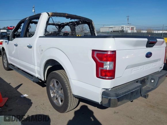 2019 Ford F-150 XL with VIN 1FTEW1CP8KKE80752, listed as a IAAI auction lot 41623727 with Not Provided miles and . Bid and sale history available at carsss.com. Image 3.