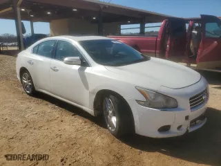 2010 Nissan Maxima 3.5 SV w/Premium Pkg with VIN 1N4AA5AP5AC859147, listed as a Copart auction lot 46687155 with 247,975 mi miles and Salvage Title. Bid and sale history available at carsss.com. Image 4.