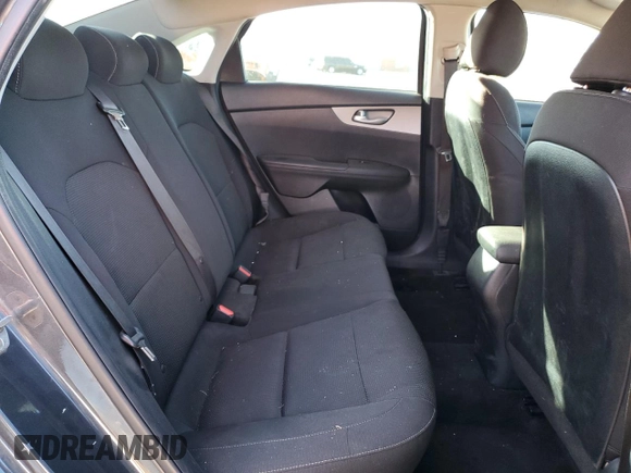 2019 Kia Forte LXS with VIN 3KPF24ADXKE008680, listed as a Copart auction lot 42830905 with 124,252 mi miles and Salvage Title. Bid and sale history available at carsss.com. Image 10.