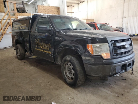 2014 Ford F-150 XL with VIN 1FTMF1EM3EKE99275, listed as a Copart auction lot 48309175 with 213,384 mi miles and Salvage Title. Bid and sale history available at carsss.com. Image 4.