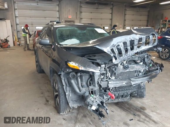 2016 Jeep Cherokee Trailhawk with VIN 1C4PJMBS2GW309042, listed as a IAAI auction lot 41564925 with 125,436 mi miles. Bid and sale history available at carsss.com. Image 1.