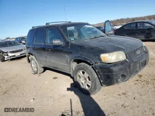2006 Ford Escape Limited with VIN 1FMYU04196KA34229, listed as a Copart auction lot 46709785 with 203,203 mi miles and Clean Title. Bid and sale history available at carsss.com. Image 4.