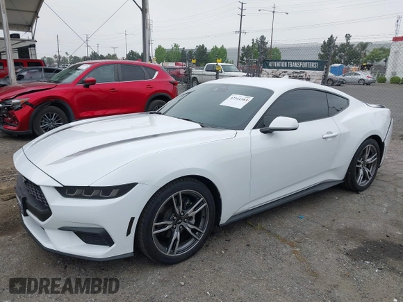 2024 Ford Mustang EcoBoost z VIN 1FA6P8TH3R5109662, wystawiony jako IAAI lot #42164383 z przebiegiem 3 336 mil mil oraz . Historia ofert i sprzedaży dostępna na DreamBid. Obrazek 17.