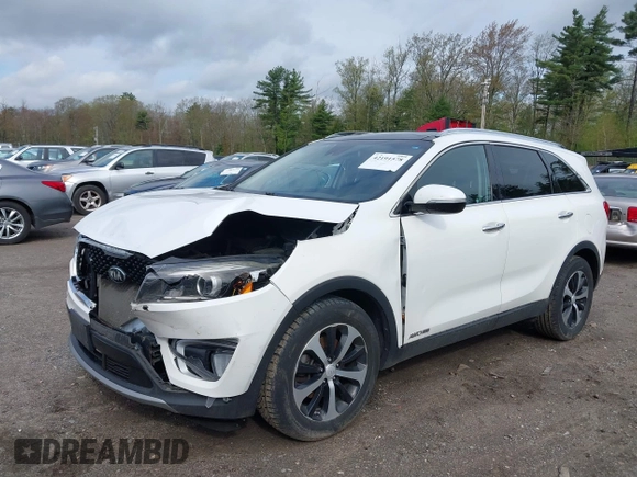 2017 Kia Sorento EX with VIN 5XYPHDA56HG229930, listed as a IAAI auction lot 42191578 with 161,417 mi miles and . Bid and sale history available at DreamBid. Image 17.