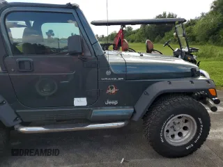 2002 Jeep Wrangler Sahara with VIN 1J4FA59S12P766719, listed as a Copart auction lot 74331964 with 128,881 mi miles and Non Repairable. Bid and sale history available at carsss.com. Image 13.