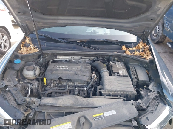 2019 Audi Q3 Premium with VIN WA1AECF34K1077065, listed as a IAAI auction lot 40826923 with 85,458 mi miles and . Bid and sale history available at DreamBid. Image 10.