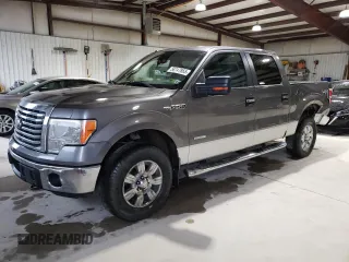 2012 Ford F-150 XL with VIN 1FTFW1ET2CFA17837, listed as a Copart auction lot 58747865 with 219,400 mi miles and Salvage title. Bid and sale history available at DreamBid. Image 1.