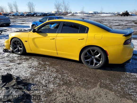 2017 Dodge Charger R/T with VIN 2C3CDXCT7HH623143, listed as a Copart auction lot 50664215 with Not Provided miles and Non Repairable. Bid and sale history available at DreamBid. Image 2.