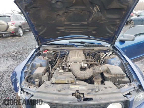 2009 Ford Mustang GT with VIN 1ZVHT82H095105825, listed as a IAAI auction lot 41299663 with 190,109 mi miles and . Bid and sale history available at DreamBid. Image 10.