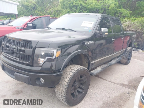 2010 Ford F-150 XL with VIN 1FTFW1EV0AFA33744, listed as a IAAI auction lot 41954351 with 288,242 mi miles and . Bid and sale history available at carsss.com. Image 20.