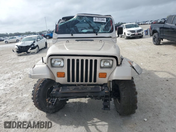 1995 Jeep Wrangler S with VIN 1J4FY19P8SP236649, listed as a Copart auction lot 81701344 with 172,586 mi miles and Salvage Title. Bid and sale history available at carsss.com. Image 5.