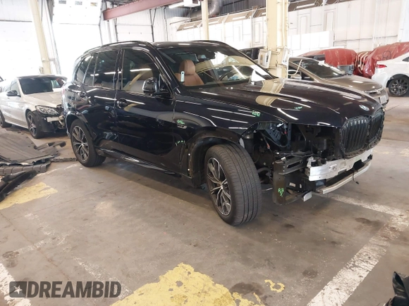 2022 BMW X5 xDrive45e with VIN 5UXTA6C05N9L41274, listed as a IAAI auction lot 42247190 with 18,701 mi miles and . Bid and sale history available at DreamBid. Image 1.