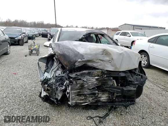 2019 Hyundai Sonata SEL with VIN 5NPE34AF1KH762699, listed as a Copart auction lot 49857895 with Not Provided miles and Non Repairable. Bid and sale history available at DreamBid. Image 13.