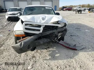 2003 Dodge Dakota with VIN 1D7FL16XX3S353971, listed as a Copart auction lot 77018554 with 0 mi miles and Salvage Title. Bid and sale history available at carsss.com. Image 11.