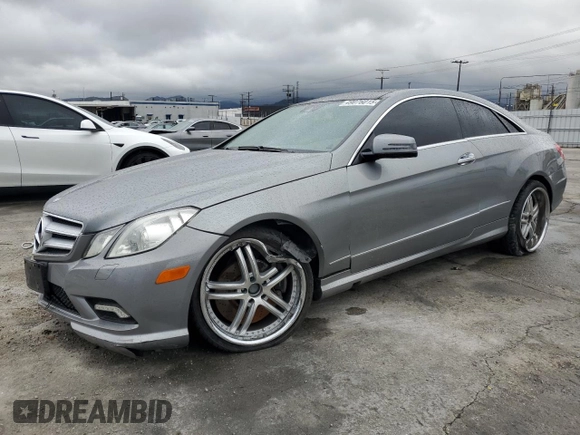 2010 Mercedes-Benz E-Class E 550 with VIN WDDKJ7CB5AF046696, listed as a Copart auction lot 49076015 with 0 mi miles and Salvage Title. Bid and sale history available at carsss.com. Image 1.