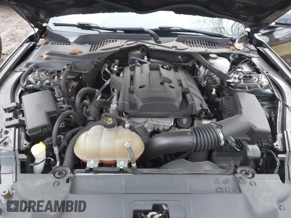 2019 Ford Mustang EcoBoost with VIN 1FATP8UH2K5159850, listed as a IAAI auction lot 41056057 with 44,133 mi miles and . Bid and sale history available at DreamBid. Image 10.