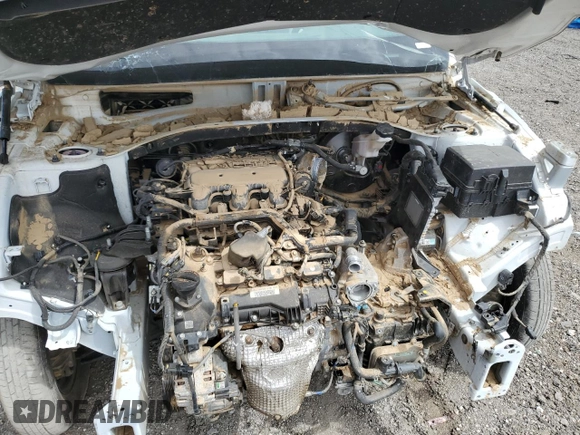 2020 Kia Telluride S with VIN 5XYP64HC1LG009842, listed as a Copart auction lot 48749955 with Not Provided miles and Salvage Title. Bid and sale history available at DreamBid. Image 12.