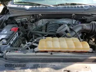 2017 Ford F-150 XLT with VIN 1FTEW1EF5HKE28069, listed as a Copart auction lot 66473145 with 100,138 mi miles and Salvage title. Bid and sale history available at DreamBid. Image 13.