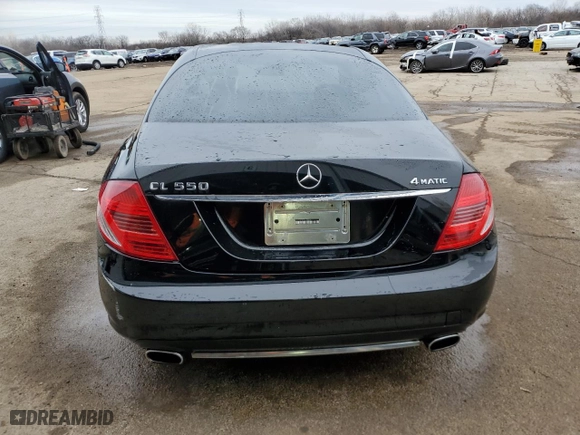 2010 Mercedes-Benz CL-Class CL 550 with VIN WDDEJ8GBXAA025272, listed as a Copart auction lot 43619445 with NaN miles and Salvage Title. Bid and sale history available at carsss.com. Image 6.