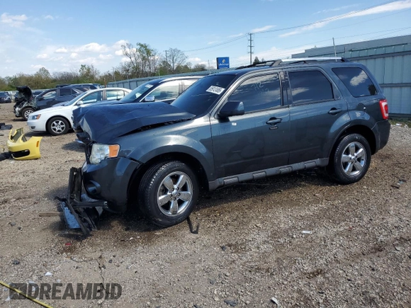 2009 Ford Escape Limited with VIN 1FMCU04G99KA65225, listed as a Copart auction lot 55912495 with 161,849 mi miles and Salvage title. Bid and sale history available at DreamBid. Image 1.