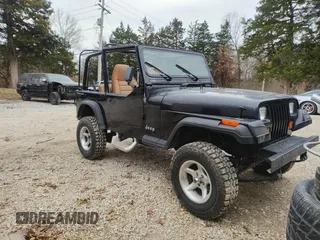 1993 Jeep Wrangler "S" with VIN 1J4FY19P1PP243899, listed as a Copart auction lot 49513795 with 41 mi miles and Clean Title. Bid and sale history available at carsss.com. Image 1.
