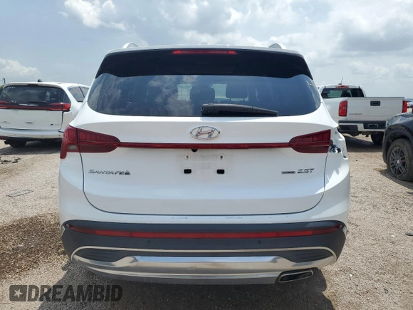 2023 Hyundai Santa Fe Limited with VIN 5NMS4DAL2PH517081, listed as a Copart auction lot 54197505 with 53,584 mi miles and Salvage Title. Bid and sale history available at DreamBid. Image 6.