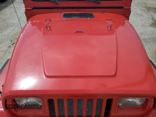 1995 Jeep Wrangler S with VIN 1J4FY19P2SP255844, listed as a Copart auction lot 80221564 with 225,551 mi miles and Non Repairable. Bid and sale history available at carsss.com. Image 12.