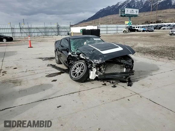 2013 Ford Mustang V6 with VIN 1ZVBP8AM5D5280606, listed as a Copart auction lot 47976695 with Not Provided miles and Salvage Title. Bid and sale history available at carsss.com. Image 10.