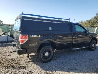 2013 Ford F-150 XL with VIN 1FTMF1EM2DKF82341, listed as a Copart auction lot 79091004 with 185,594 mi miles and Non Repairable. Bid and sale history available at DreamBid. Image 3.